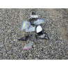 2024 BMW X5 5UX23EU03R9V82643 50187785