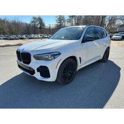 2022 BMW X5 5UXCR6C0XN9K63969 51411035