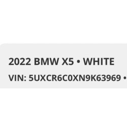 2022 BMW X5 5UXCR6C0XN9K63969 51411035