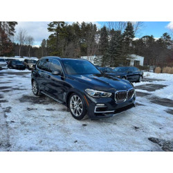 2020 BMW X5 5UXCR4C04LLW64230 51806485