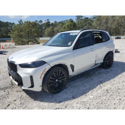 2024 BMW X5 5UX23EU06R9T18316 49644755