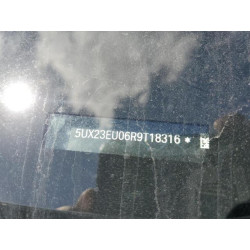 2024 BMW X5 5UX23EU06R9T18316 49644755