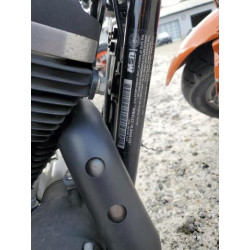 2020 HARLEY-DAVIDSON XL883 N 1HD4LE214LB436126 75587304