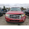 2010 FORD ESCAPE