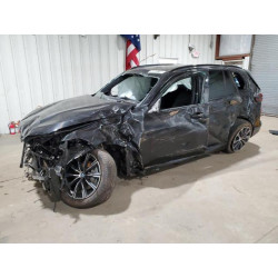2025 BMW X5 5UX23EU06S9W70530 48895195