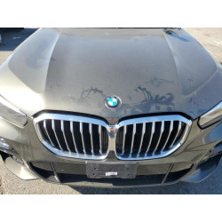 2022 BMW X5 5UXCR6C0XN9M17211 46443645