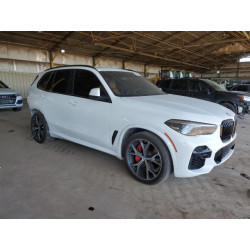 2022 BMW X5 5UXCR4C04N9K22970 50420305