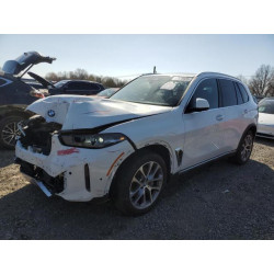 2024 BMW X5 5UX13EU02R9T12203 52528925