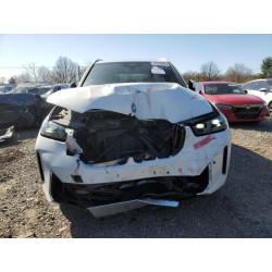 2024 BMW X5 5UX13EU02R9T12203 52528925