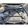 2023 BMW X5 5UXCR6C04P9P97021 49247845