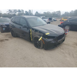 2024 BMW X5 5UX13EU0XR9V29529 48866415
