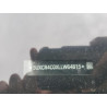 2020 BMW X5 5UXCR4C0XLLW64815 50429185