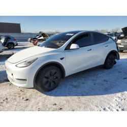2025 TESLA MODEL Y 7SAYGAEE8SF255950 45096525