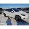 2025 TESLA MODEL Y 7SAYGAEE8SF255950 45096525