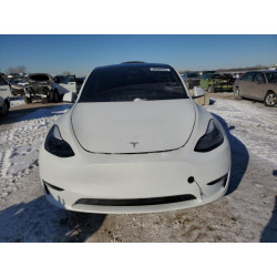 2025 TESLA MODEL Y 7SAYGAEE8SF255950 45096525