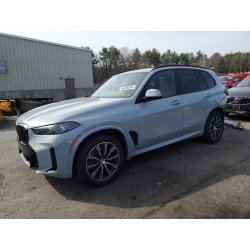2024 BMW X5 5UX23EU07R9U24113 50386895