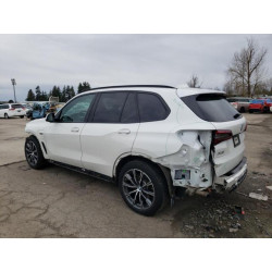 2023 BMW X5 5UXTA6C05P9N46001 49493275