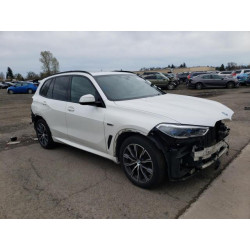 2023 BMW X5 5UXTA6C05P9N46001 49493275