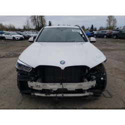 2023 BMW X5 5UXTA6C05P9N46001 49493275