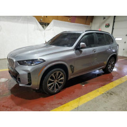 2025 BMW X5 5UX23EU06S9W70186 43744645
