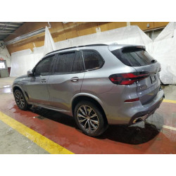 2025 BMW X5 5UX23EU06S9W70186 43744645