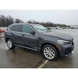 2023 BMW X5 5UXCR6C02P9P67189 50276415