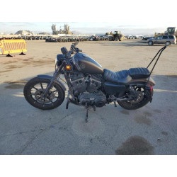 2021 HARLEY-DAVIDSON XL883 N 1HD4LE225MB409589 44999335