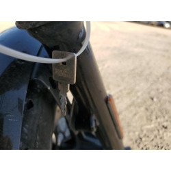 2020 HARLEY-DAVIDSON XL883 N 1HD4LE213LB429149 53697865