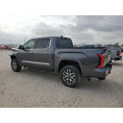 2025 TOYOTA TUNDRA 5TFMA5DB5SX247306 54762705