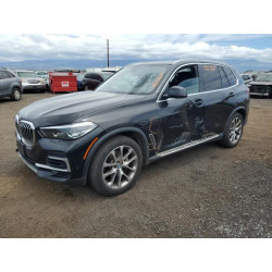 2023 BMW X5 5UXCR6C06P9P17296 54330925