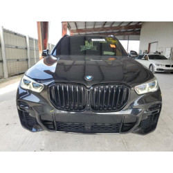 2022 BMW X5 5UXCR6C0XN9M08766 51987215
