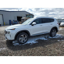 2022 HYUNDAI SANTA FE 5NMS6DAJ6NH411044 52317385