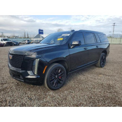 2025 CADILLAC ESCALADE 1GYS9NRL7SR164542 55495625