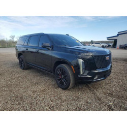 2025 CADILLAC ESCALADE 1GYS9NRL7SR164542 55495625
