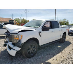 2023 FORD F-150 1FTFW1E82PKE82241 54902835