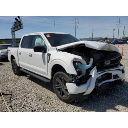 2023 FORD F-150 1FTFW1E82PKE82241 54902835