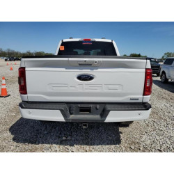 2023 FORD F-150 1FTFW1E82PKE82241 54902835