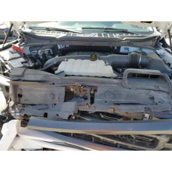2023 FORD F-150 1FTFW1E82PKE82241 54902835