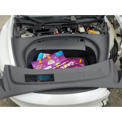 2024 TESLA MODEL 3 5YJ3E1EB0RF822472 48006245