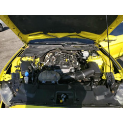 2021 FORD ALL Models 1FA6P8TH7M5107440 52035795