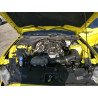 2021 FORD ALL Models 1FA6P8TH7M5107440 52035795
