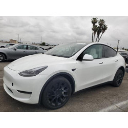 2025 TESLA MODEL Y 7SAYGDED5SF228228 53123125