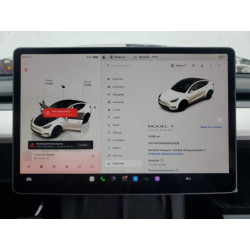 2025 TESLA MODEL Y 7SAYGDED5SF228228 53123125