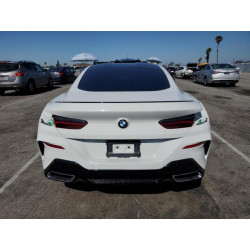 2020 BMW M8 WBABC4C00LCE77534 54722515