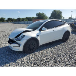 2023 TESLA MODEL Y 7SAYGDEE5PA053525 50174655