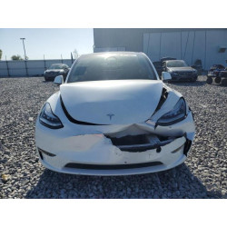 2023 TESLA MODEL Y 7SAYGDEE5PA053525 50174655