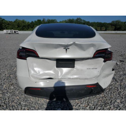 2023 TESLA MODEL Y 7SAYGDEE5PA053525 50174655
