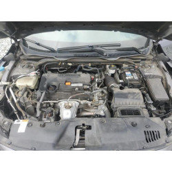 2020 HONDA CIVIC 2HGFC2F83LH526585 50962635