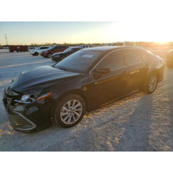 2023 TOYOTA CAMRY 4T1C11AK4PU720965 82312224