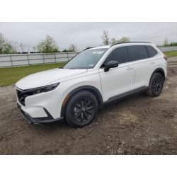 2025 HONDA CRV 7FARS5H88SE018585 50629175